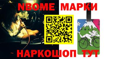 сатива Новозыбков
