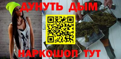 сатива Новозыбков
