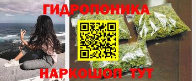 apvp Новодвинск